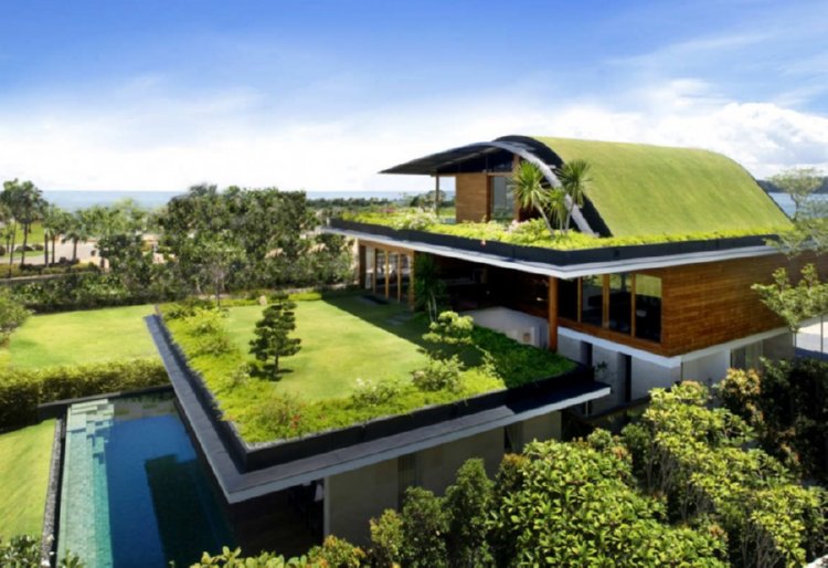 green roof house